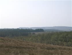 View full details