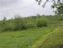 View full details