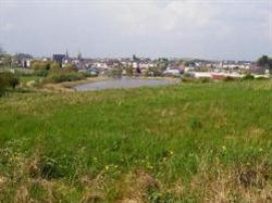 View full details