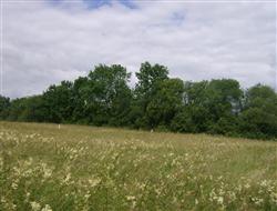 View full details